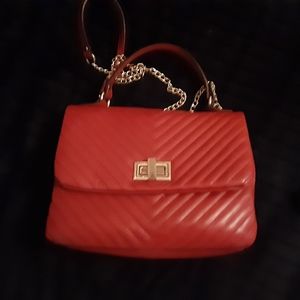 Sara Burglar purse
